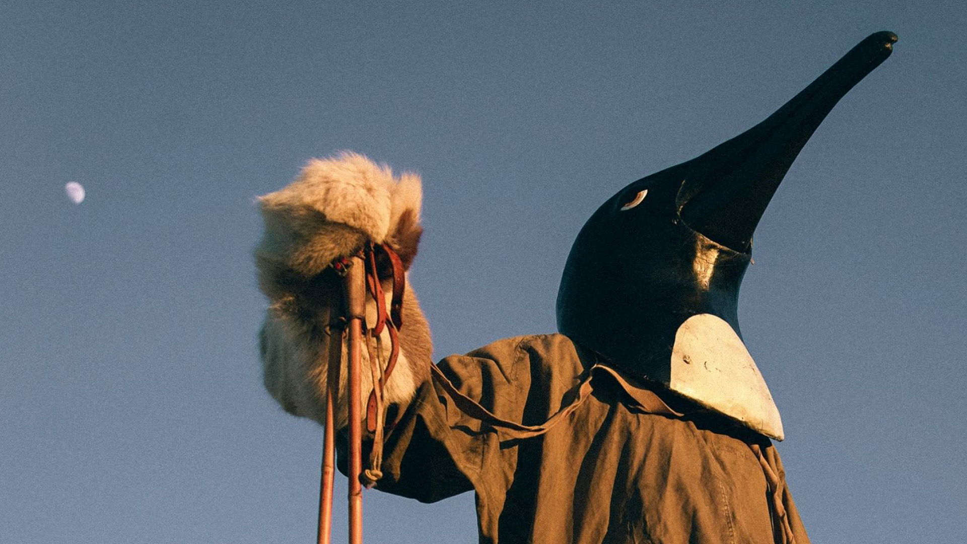 Penguin Cafe presentano "Galahad"