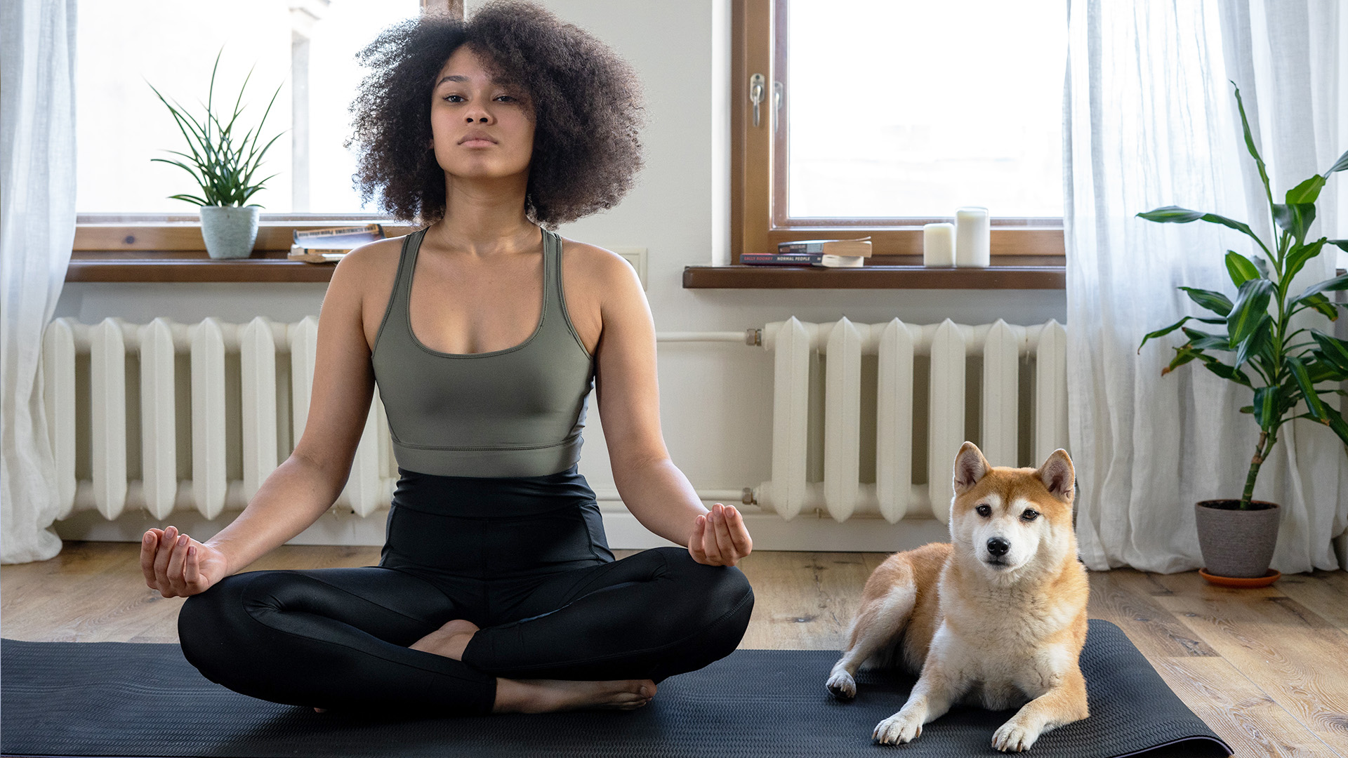 Yoga e meditazione in casa per principianti e monaci zen in erba