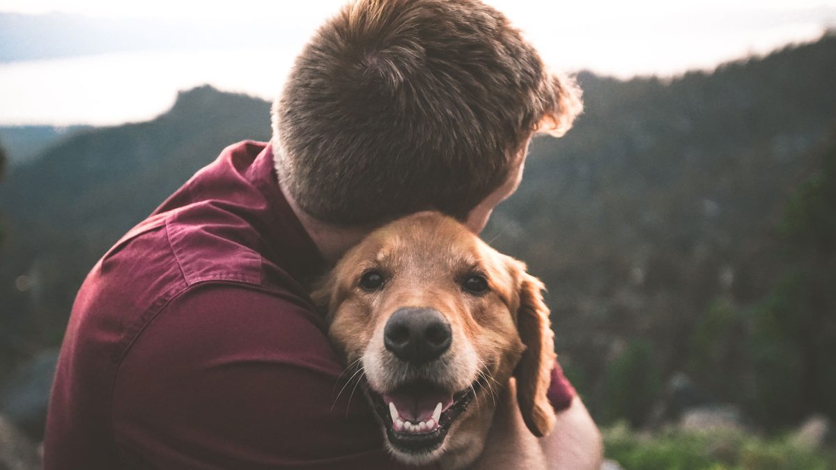 Cos'è la pet therapy: benefici e cose che dovresti sapere