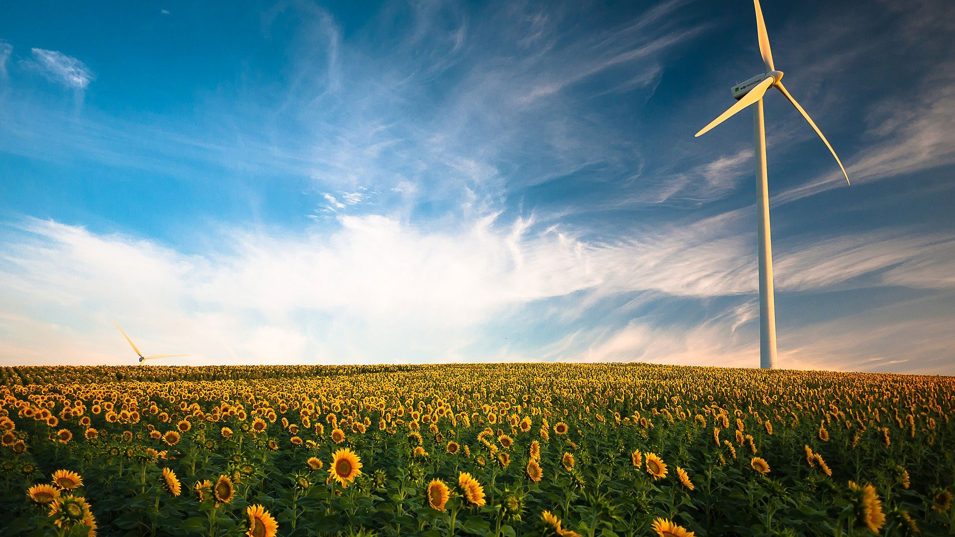 Greentech, alla scoperta della tecnologia che salva l’ambiente